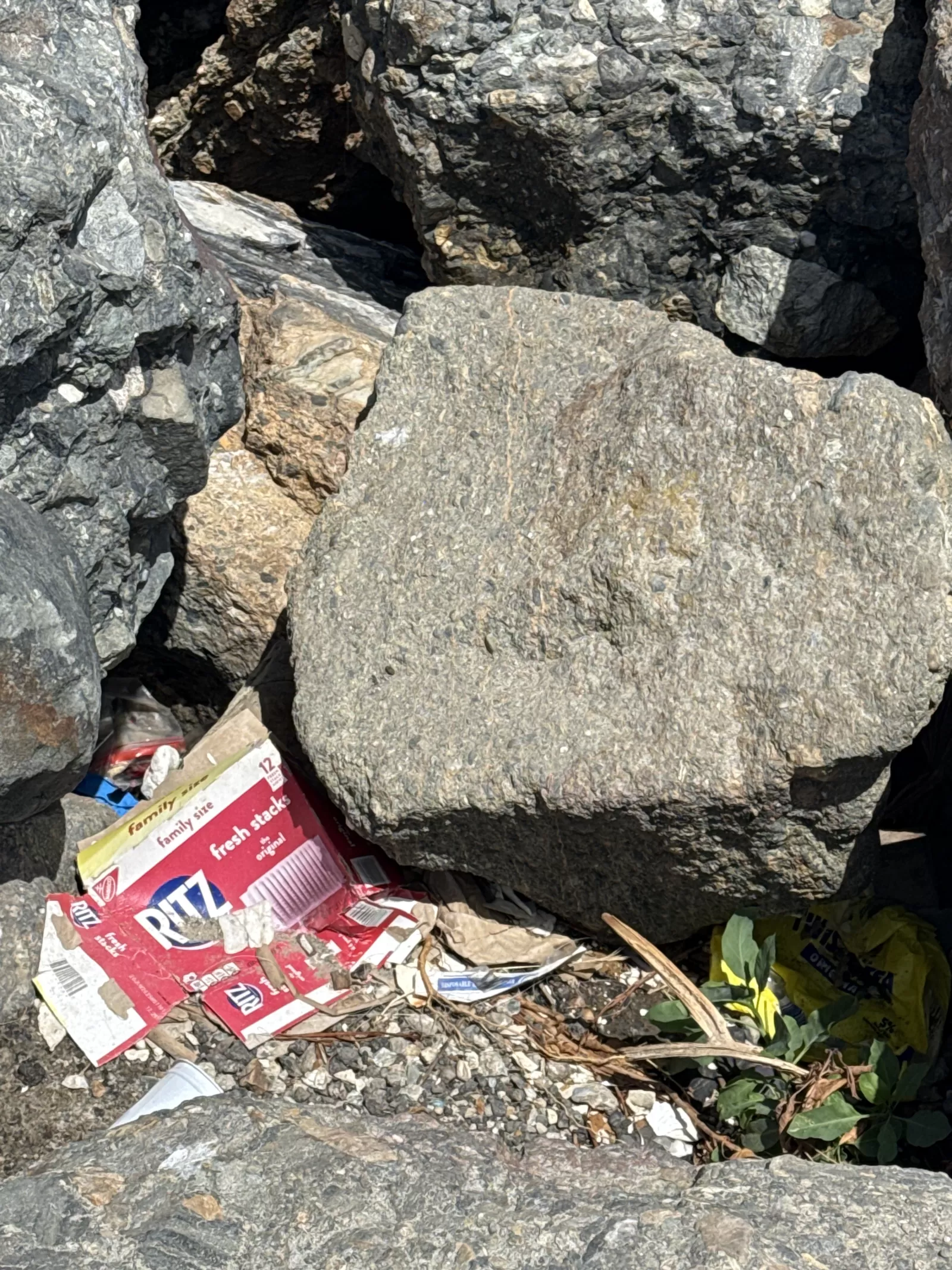 Discarded cardboard food packaging, wrappers, and a cup are visible in gaps between large rocks.