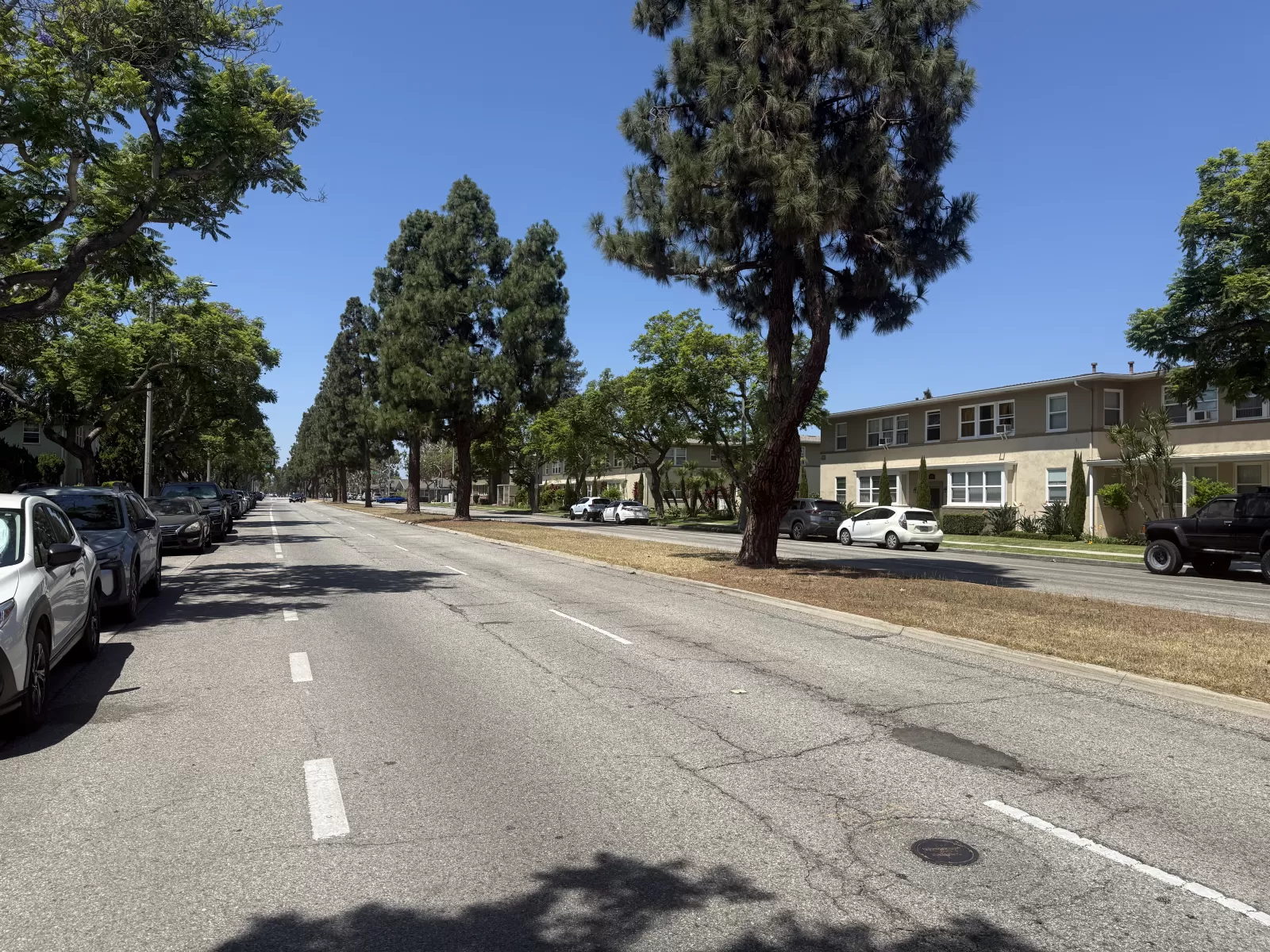 A tree-lined street and adjacent sidewalks appear free of visible litter, dumping, and bulky debris.