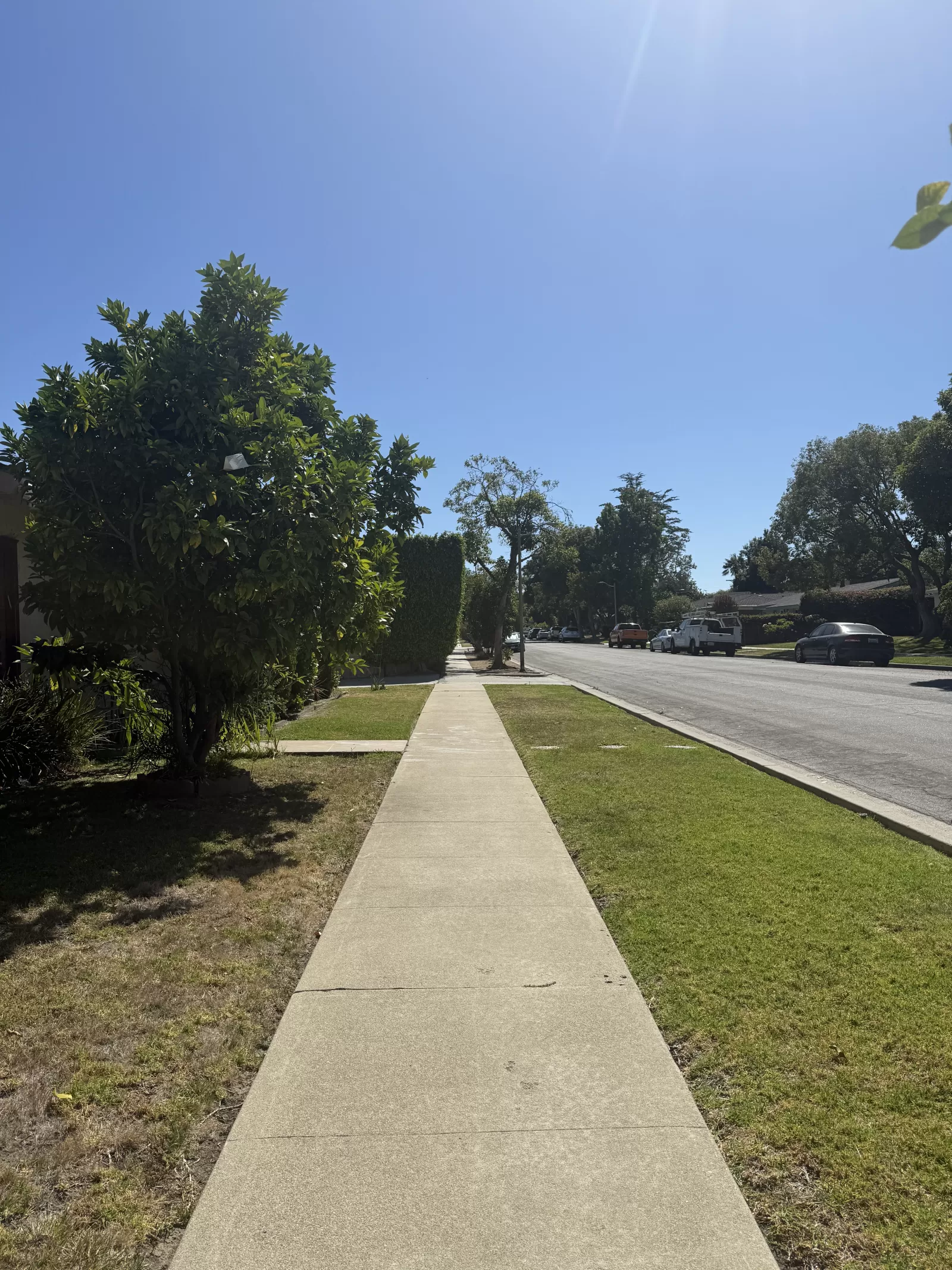 The sidewalk and adjacent street are clear of visible litter and bulky debris. Trees, shrubs, and grass line the walkway.